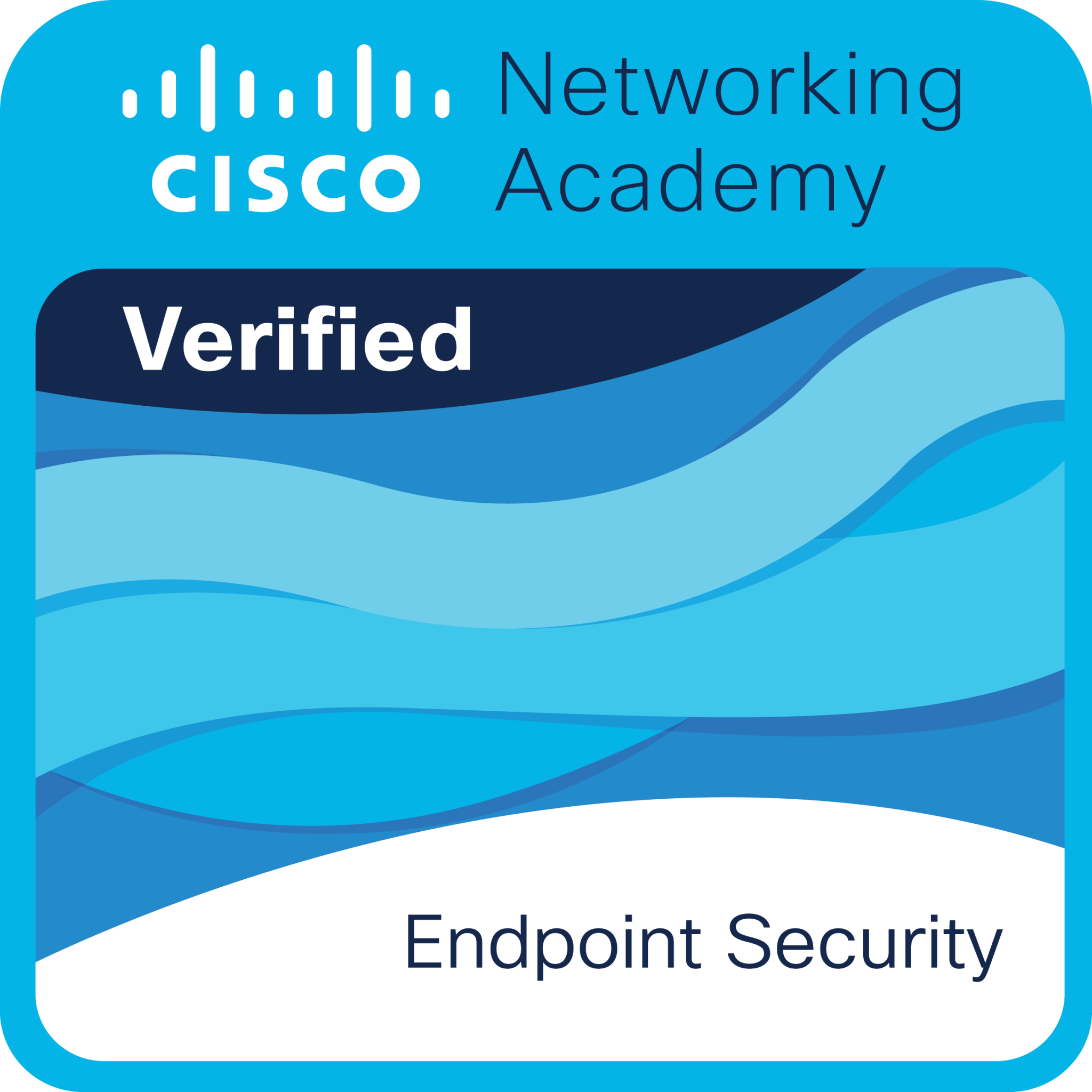 Cisco Endpoint Security badge
